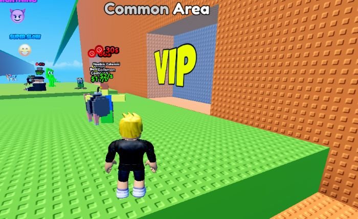 vip zone in Escape Tsunami for Brainrots